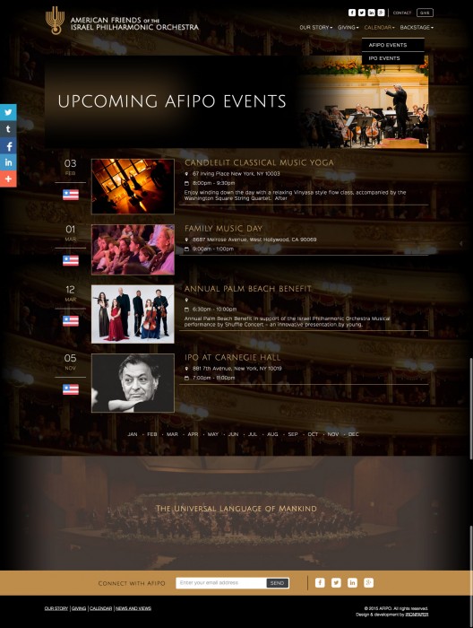 AFIPO website design