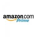 amazon is an ecommerce search engine... prime is one of it's core attractions