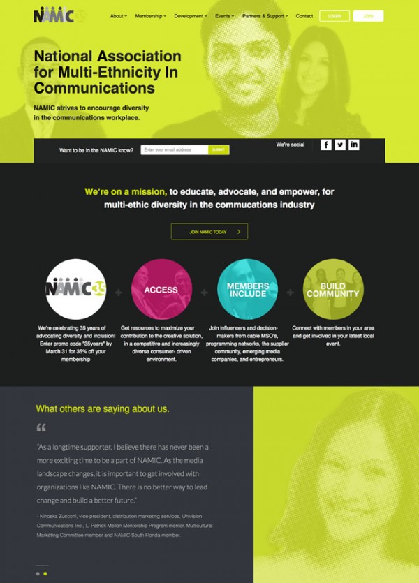 NAMIC assocation website design