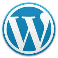 Wordpress web design